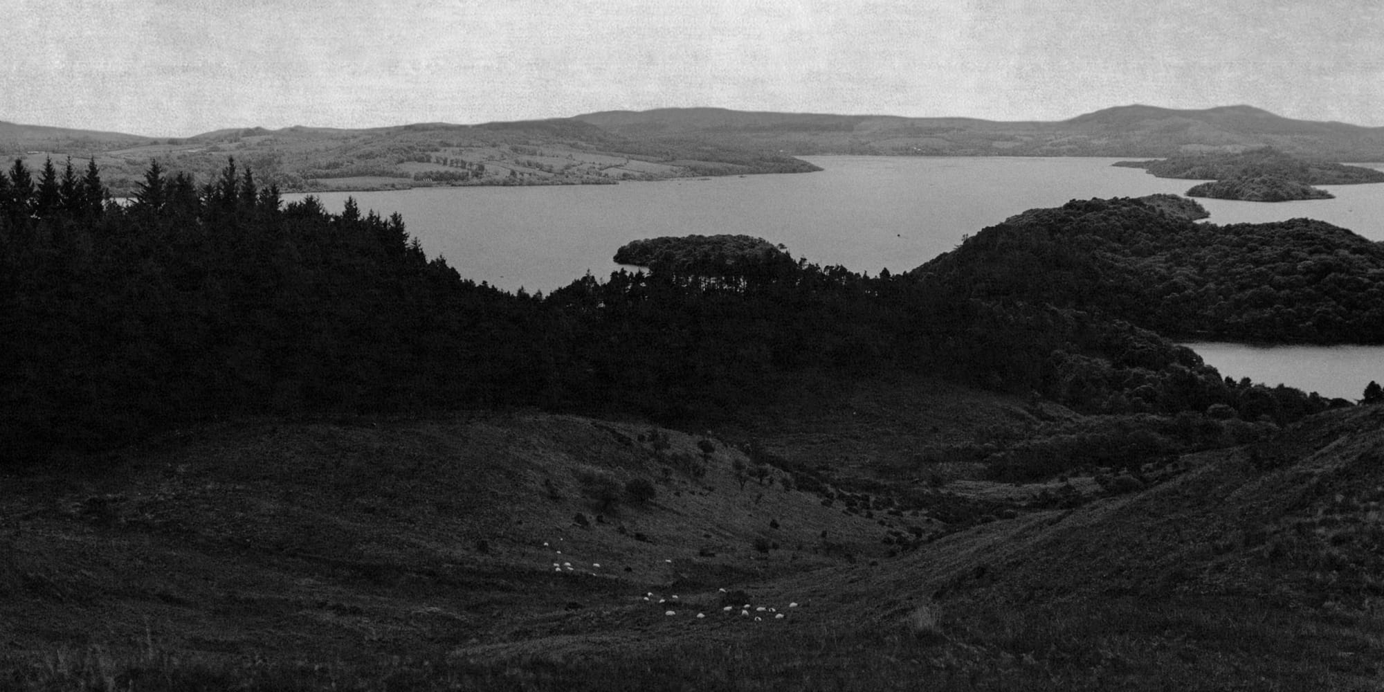 MAISON MOKO [STUDIO CRÉATIF] 